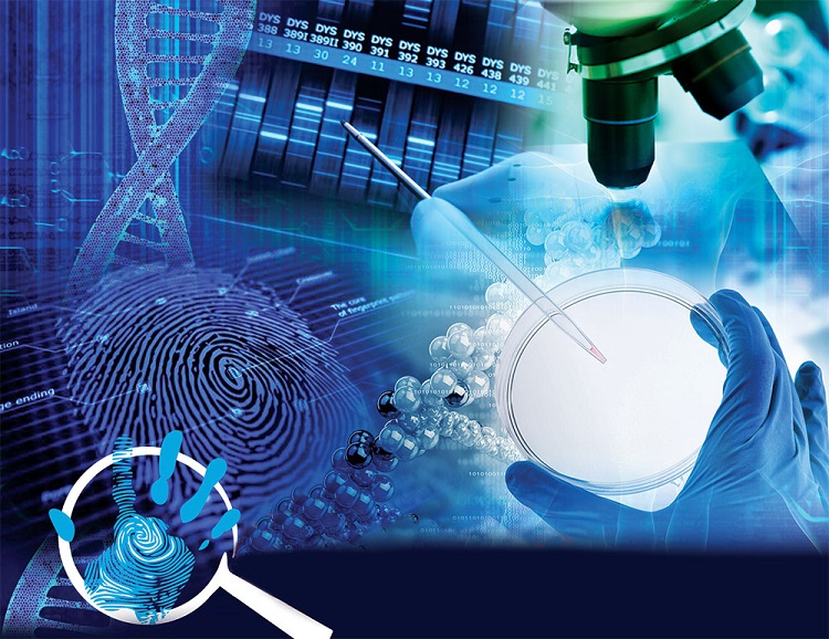 Aulas virtuales gaztelueta